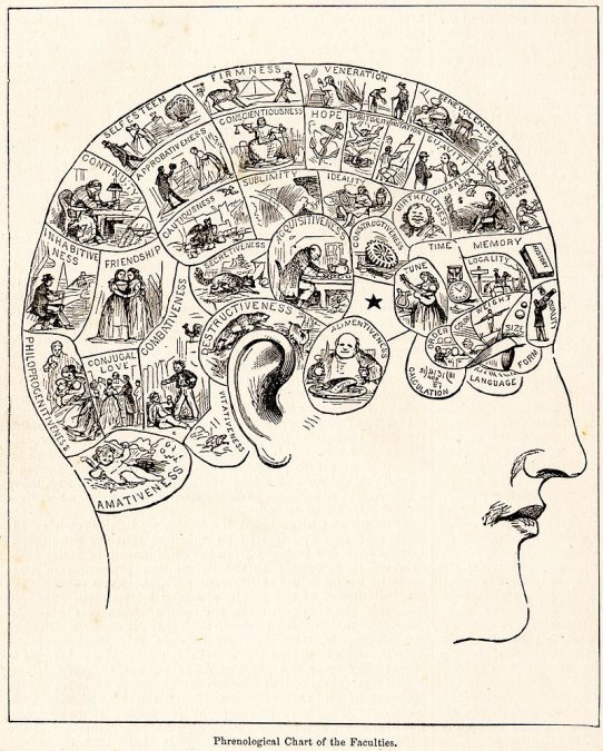 Una ilustración del siglo XIX típica sobre frenología.