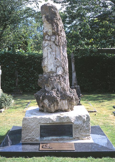 Tumba de Wallace, en Broadstone (Inglaterra), restaurada por el A. R. Wallace Memorial Fund en el año 2000. Cuenta con un tronco de más de dos metros de altura situado sobre un bloque de piedra caliza.

