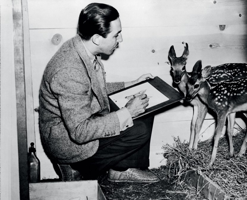 Walt Disney dibujando a Bambi. 