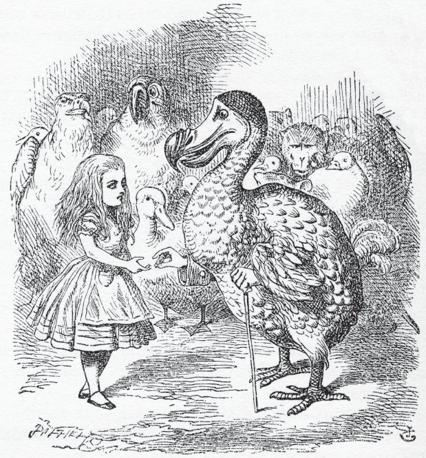         

<p></noscript>Alicia y el Dodo – Dibujo de John Tenniel.</p>
<p>“></figure><div id=