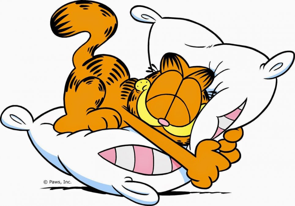 Garfield con su almohada.