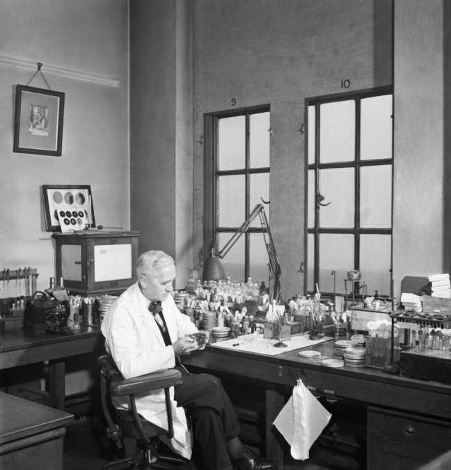Alexander Fleming en su laboratorio en el St Mary