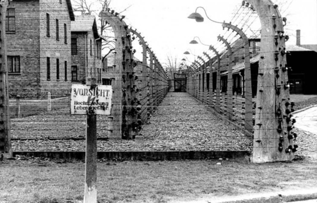 Parte del complejo sistema de alambradas en un rincón de Auschwitz.