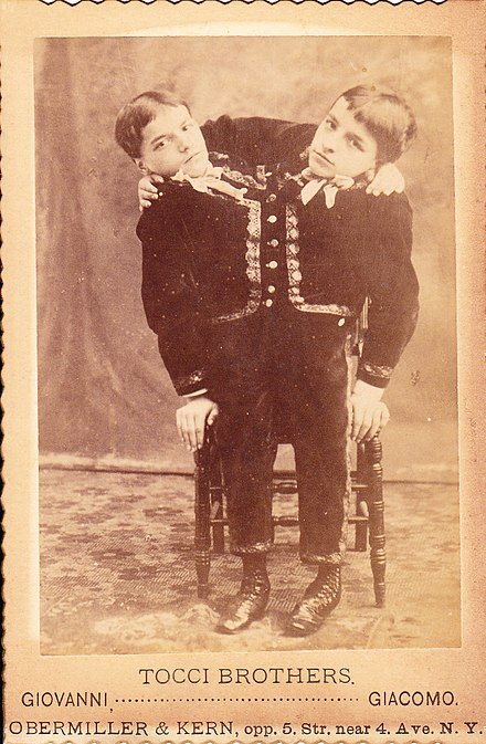 Los hermanos Tocci en los años 1880.