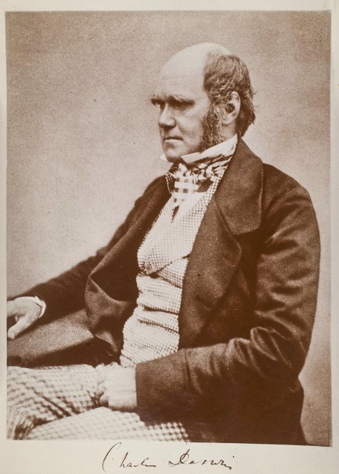 Darwin poco antes de la publicación de 