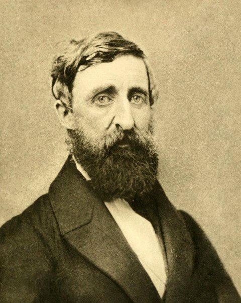 Esta fotografía de Thoreau se hizo un año antes de su muerte.