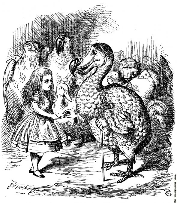 Alicia y el Dodo por John Tenniel