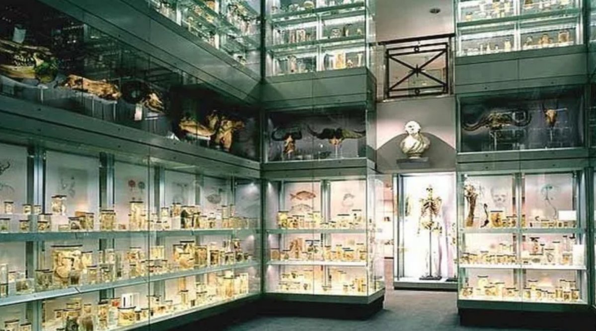 El Museo Hunterian de Londres, del tenebroso Dr. John Hunter, llegó a  poseer una colección con 14.000 muestras de más de 500 especies de  animales y plantas, que actualmente se pueden ver en el Royal College of  Surgeons de Londres. Pero también es considerado el 