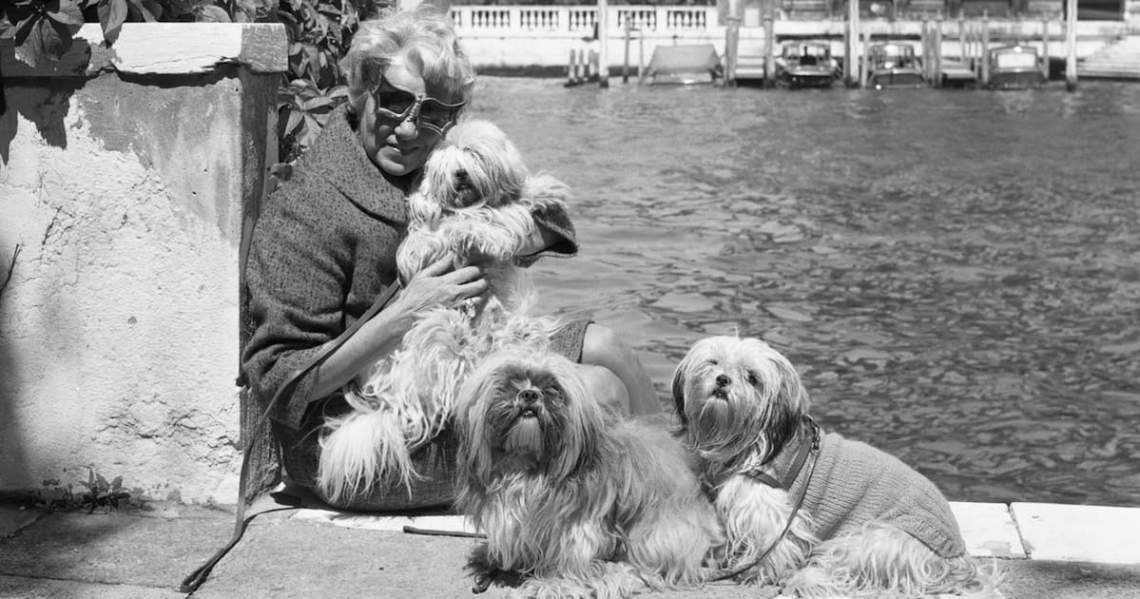Peggy Guggenheim en el gran canal con algunos de sus perros