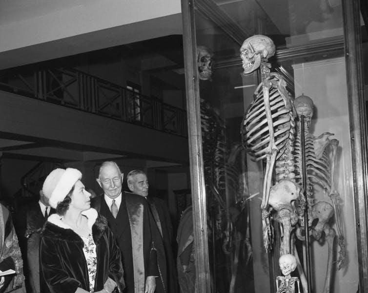 La reina Isabel examina los huesos de Charles Byrne en 1962.